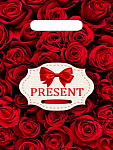 Пакет с вырубной ручкой 20*30см Презент бордо, н00157458