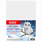 Картон белый 24л А4 Пифагор 113565, немелованный