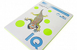  IQ COLOR 4 80 100  NeonNEOOR  