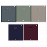 Тетрадь А5 48л скоба клетка Alingar Style AL9948