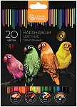 Набор цв. карандашей Schoolformat Дикая планета, 20 цв. (16 классич.+ 4 неон), КЦ20Н-ДП трехгранные, мягкие