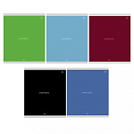 Тетрадь А5 96л скоба линия Alingar Office line AL8453