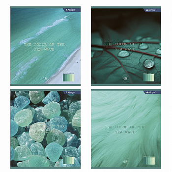  5 48   Alingar Mint color AL10833