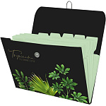 Папка с резинкой А4 deVENTE. Tropicana, 3070231 пластик. 8 отделений