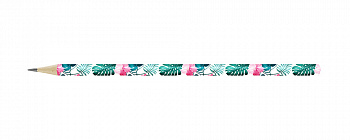   HB,  Hot Print 3032/ HP01-12 