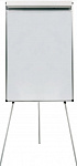  Silwerhof Daily  70x100 2053445,  ,   