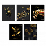  A5 80. .  , 01137, , 