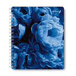 Тетрадь А5, 96л Нежные лепестки, 01909, с пластик. обложкой, на гребне клетка