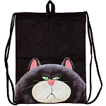 Мешок для обуви Centrum. Недовольный кот 1 отд., 75681, 370*470 мм+ петля для подвеса