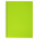 Тетрадь A4 96 листов Alingar, Зеленая, AL13342, гребень, блок офсет, цветной пластик