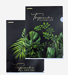 Папка-уголок А4 deVENTE. Tropicana 1243049