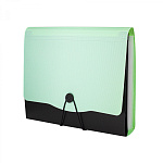 Папка-картотека на пуговице  Alingar, A4, 13отд, AL12822 мятный клапан