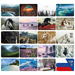 Календарь   2026г карманный 64*93мм 20видов 117303 Brauberg