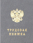 Трудовая книжка в твердой обложке,  ТК-VII (новая 2023г) 88*125мм 44л., бланк