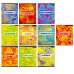 Комплект 10шт тематич. тетр. Alingar Мрамор. 36л AL7392