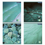  5 48   Alingar Mint color AL10833