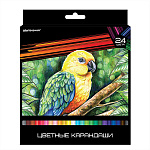 Карандаши 24цв Дикая планета КЦ24-ДП 3-гранные