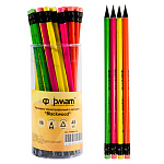   HB   inFormat Blackwood  PTNBWT-HB 