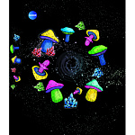 Тетрадь со сменным блоком А5 80л Centrum Грибы-2, 73073