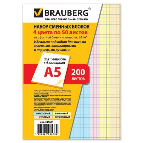    BRAUBERG 250 510117